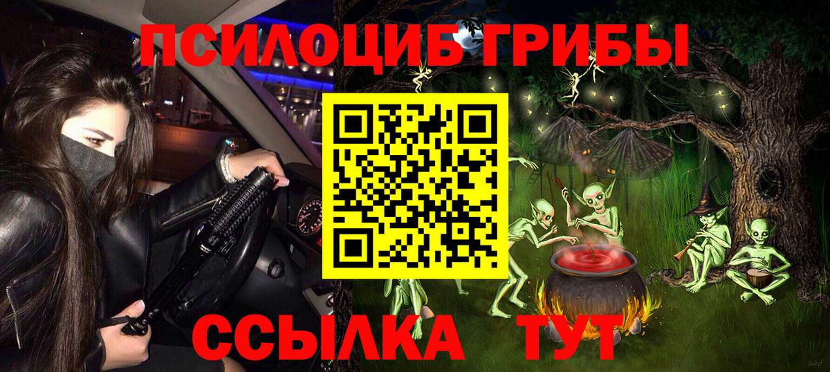 Галлюциногенные грибы Psilocybe Людиново