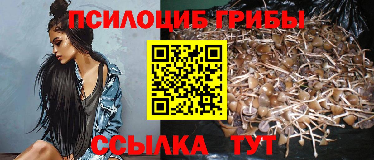 Галлюциногенные грибы Magic Shrooms  Галлюциногенные грибы Magic Shrooms  Вход с VPN  Людиново 